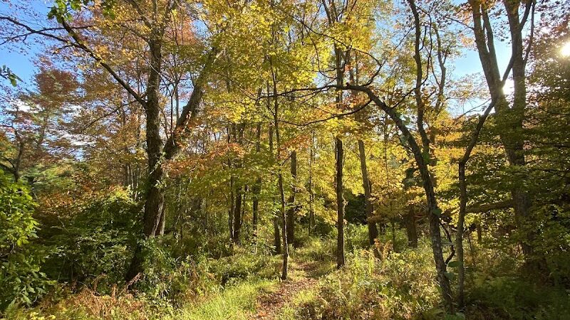 Merrow Meadow Park - Storrs, CT