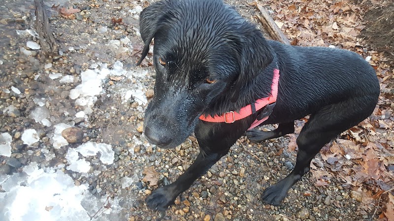 Merrow Meadow Park - Storrs, CT