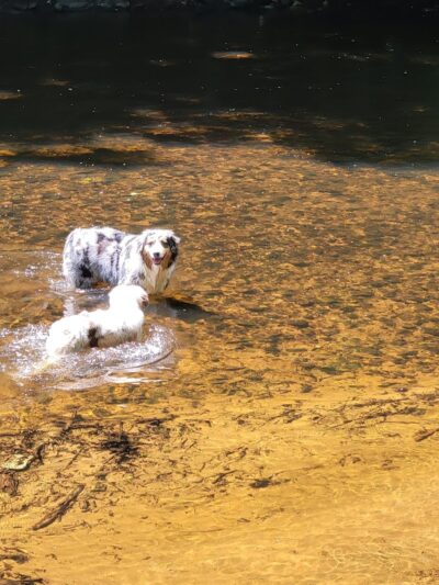 Merrow Meadow Park - Storrs, CT
