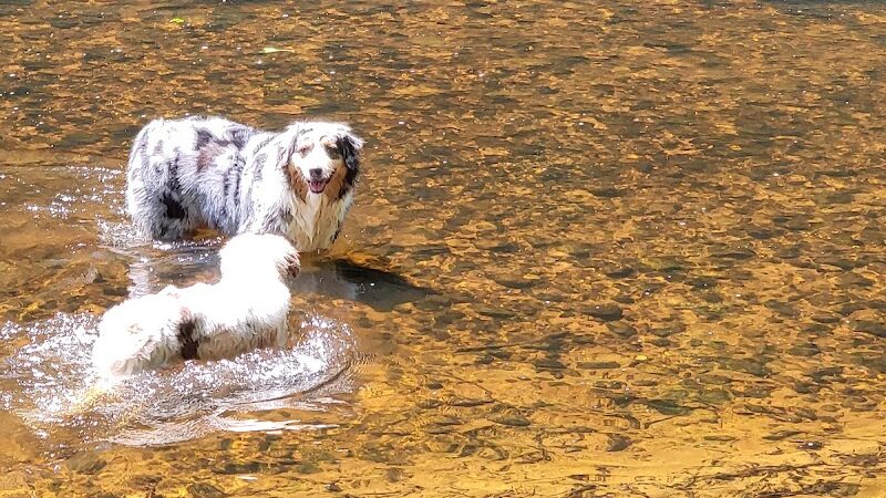 Merrow Meadow Park - Storrs, CT