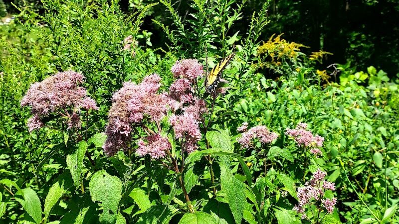 Merrow Meadow Park - Storrs, CT