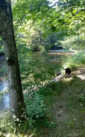 Merrow Meadow Park - Storrs, CT