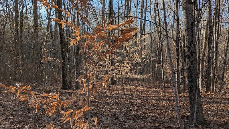 Schoolhouse Brook Park - Storrs, CT