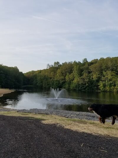 Schoolhouse Brook Park - Storrs, CT