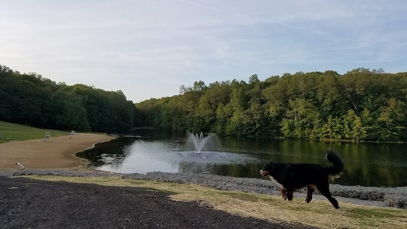 Schoolhouse Brook Park - Storrs, CT
