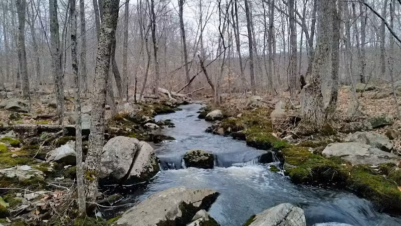 Schoolhouse Brook Park - Storrs, CT