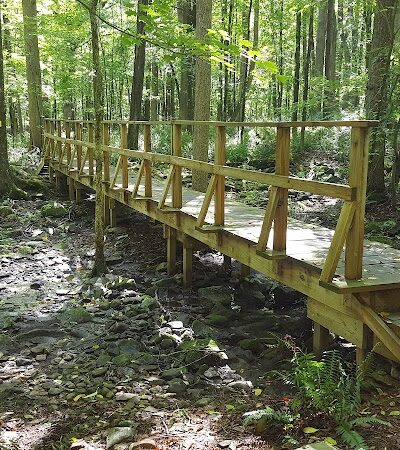 Whetten Woods Trail x Dog Lane - Storrs, CT