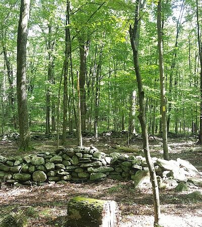 Whetten Woods Trail x Dog Lane - Storrs, CT