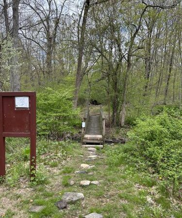 Whetten Woods Trail x Dog Lane - Storrs, CT