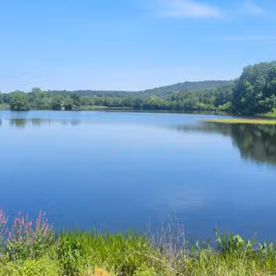 Eagleville Preserve - Storrs, CT