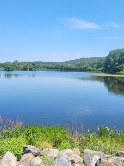 Eagleville Preserve - Storrs, CT