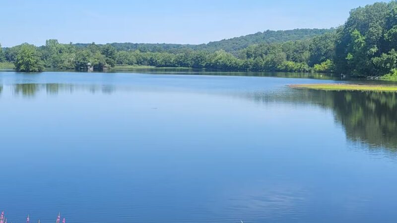 Eagleville Preserve - Storrs, CT