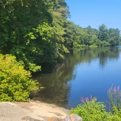 Eagleville Preserve - Storrs, CT