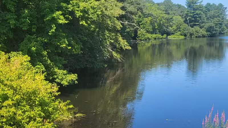 Eagleville Preserve - Storrs, CT