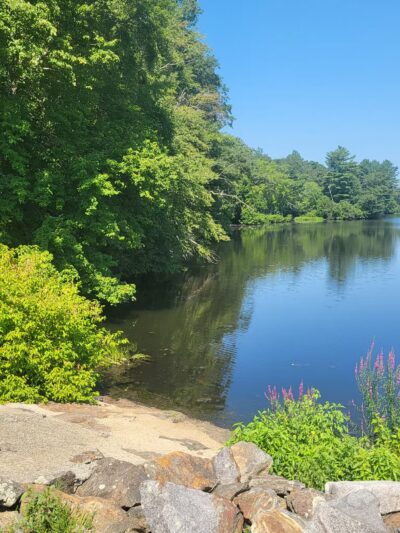 Eagleville Preserve - Storrs, CT