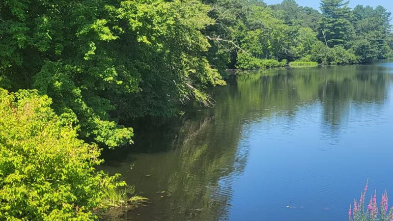 Eagleville Preserve - Storrs, CT