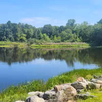 Eagleville Preserve - Storrs, CT