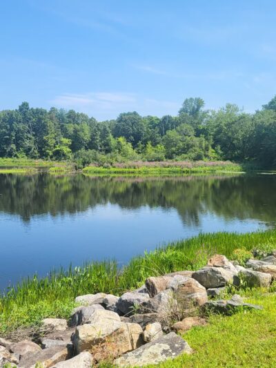 Eagleville Preserve - Storrs, CT
