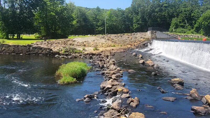 Eagleville Preserve - Storrs, CT