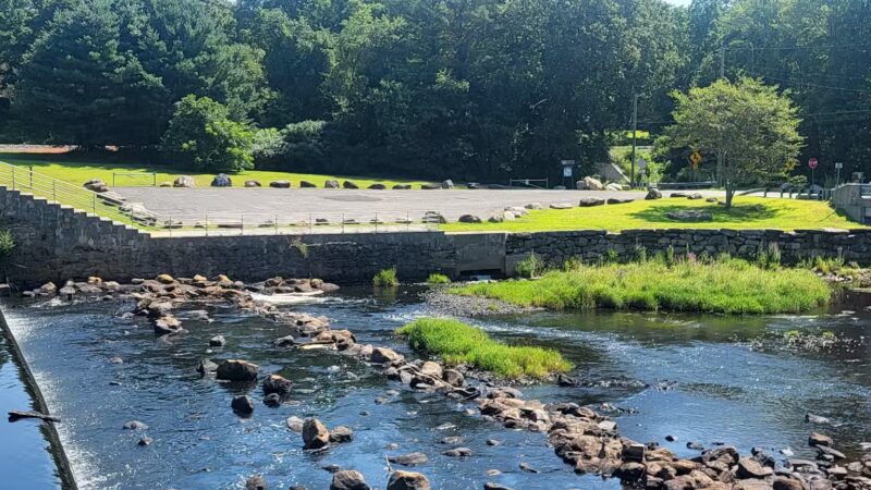 Eagleville Preserve - Storrs, CT