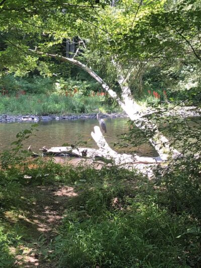 Merrow Meadow Park - Storrs, CT