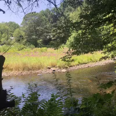 Merrow Meadow Park - Storrs, CT