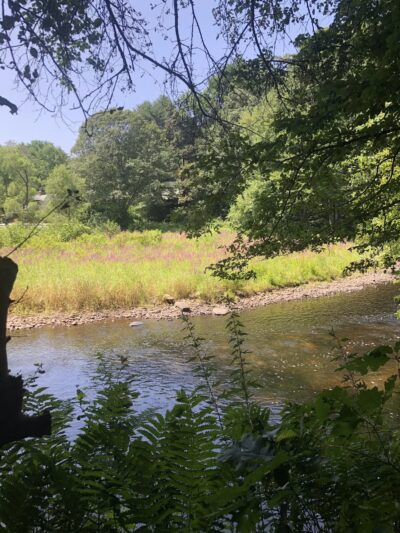 Merrow Meadow Park - Storrs, CT