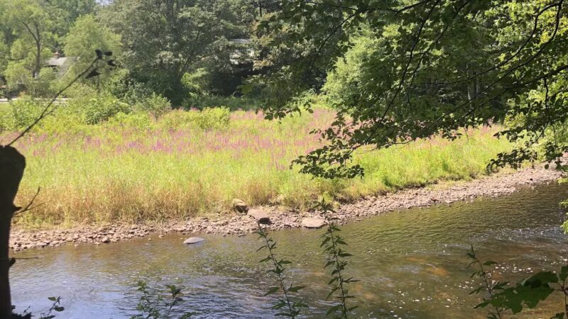 Merrow Meadow Park - Storrs, CT