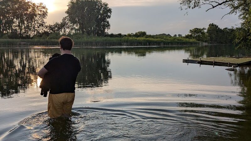 Viking dog park / dog beach - Stoughton, WI