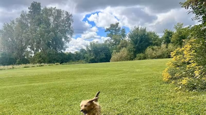 Viking dog park / dog beach - Stoughton, WI