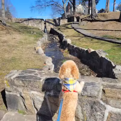 Longbrook Park - Stratford, CT