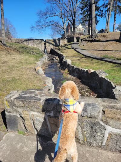 Longbrook Park - Stratford, CT