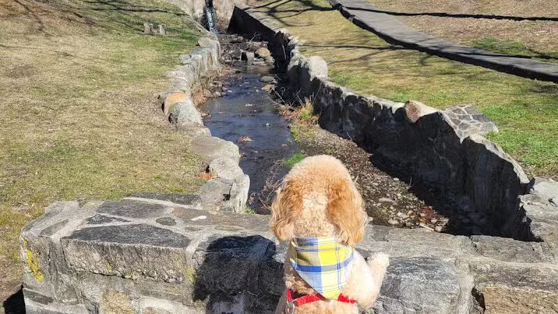 Longbrook Park - Stratford, CT