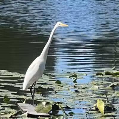 Longbrook Park - Stratford, CT