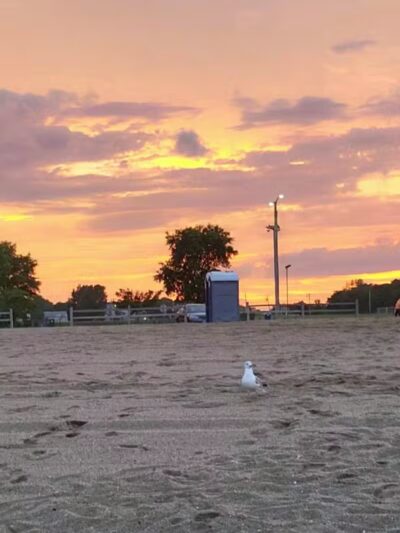 Short Beach Park - Stratford, CT