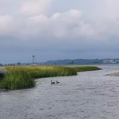 Short Beach Park - Stratford, CT