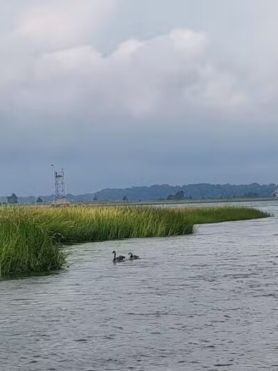 Short Beach Park - Stratford, CT