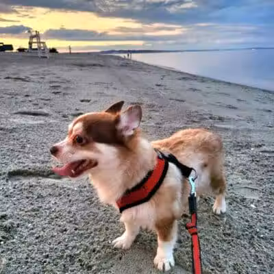 Short Beach Park - Stratford, CT