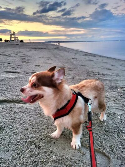 Short Beach Park - Stratford, CT