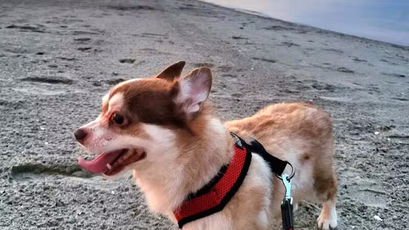 Short Beach Park - Stratford, CT