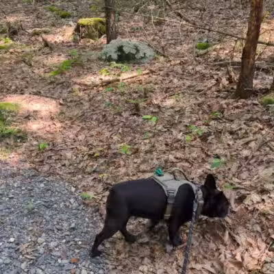 HJP Regional Park - Stroudsburg, PA