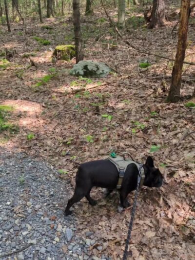HJP Regional Park - Stroudsburg, PA