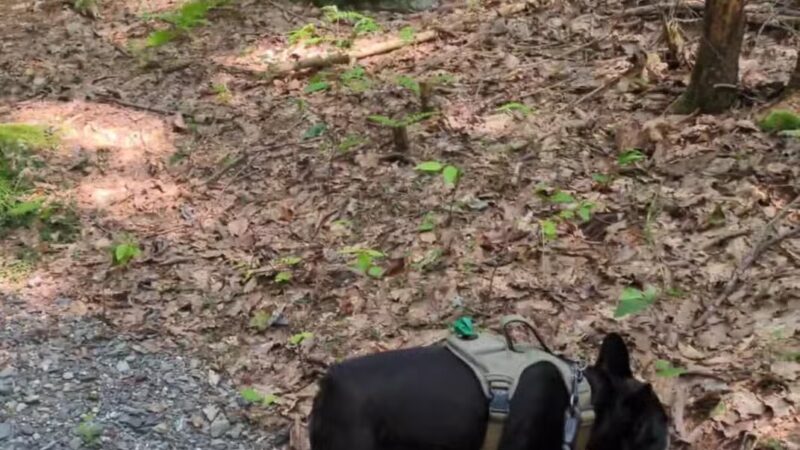 HJP Regional Park - Stroudsburg, PA