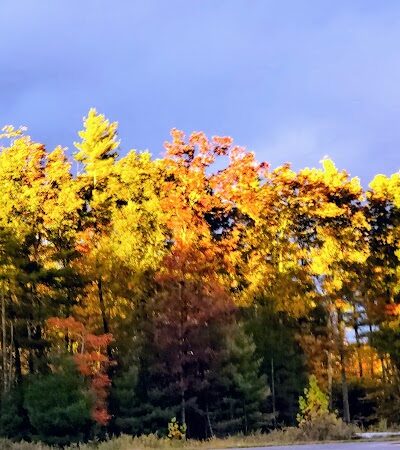 HJP Regional Park - Stroudsburg, PA