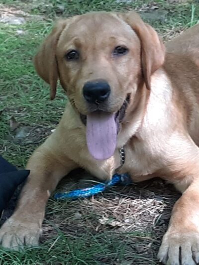 HJP Regional Park - Stroudsburg, PA