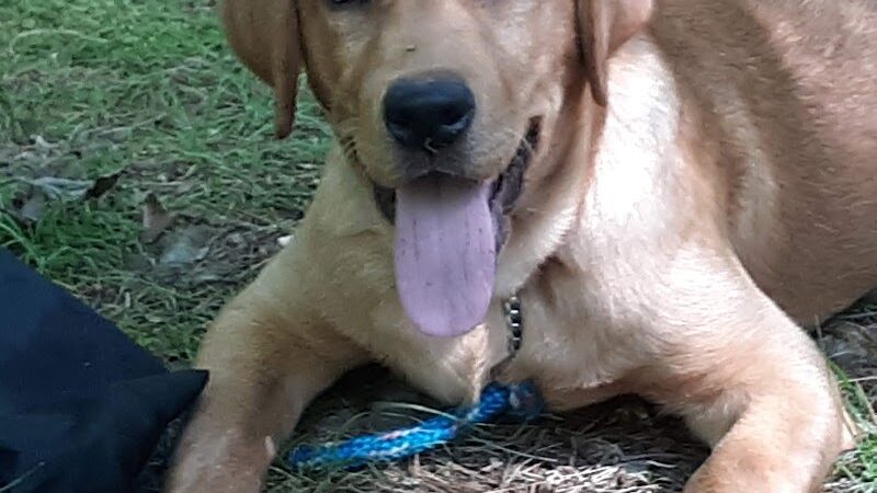 HJP Regional Park - Stroudsburg, PA