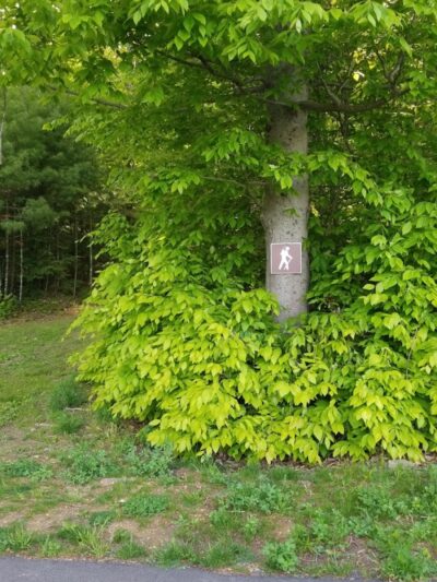 HJP Regional Park - Stroudsburg, PA