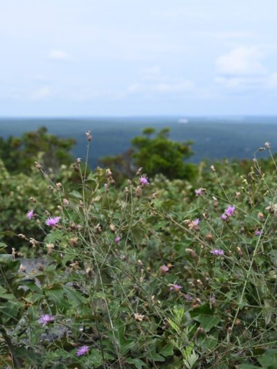 HJP Regional Park - Stroudsburg, PA