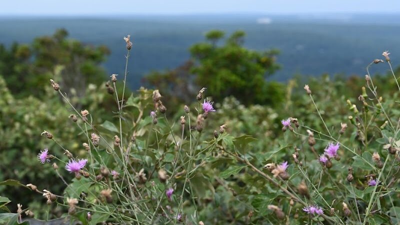 HJP Regional Park - Stroudsburg, PA
