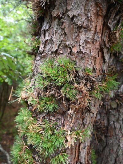 HJP Regional Park - Stroudsburg, PA